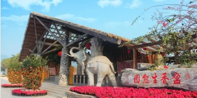 Make A Trip to Yingxiang Ecological Park