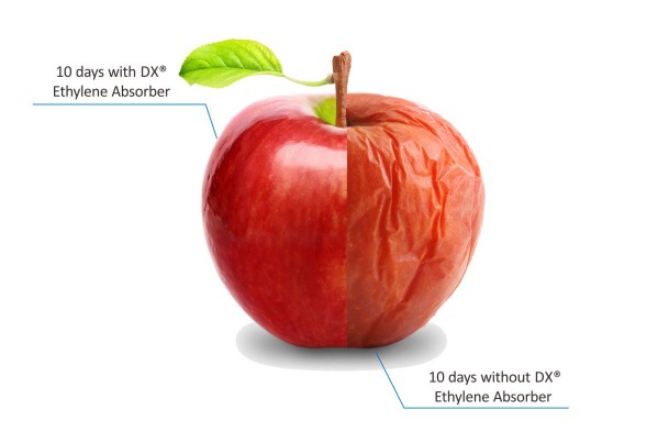 10-2100 EA & Flower Fresh 5 Gram Vegetable Ethylene Gas Absorber- Keep Fruit 